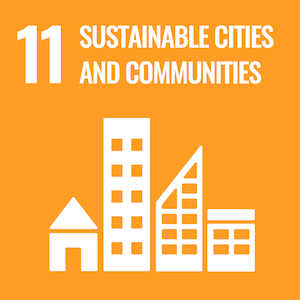 UN Sustainable logo 11