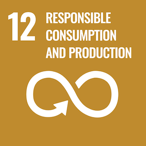 UN Sustainable logo 12