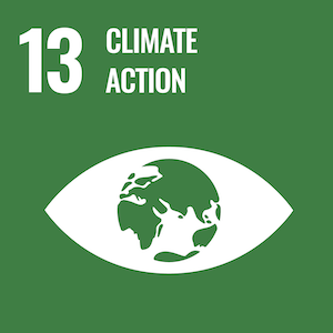 UN Sustainable logo 13