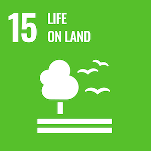 UN Sustainable logo 15